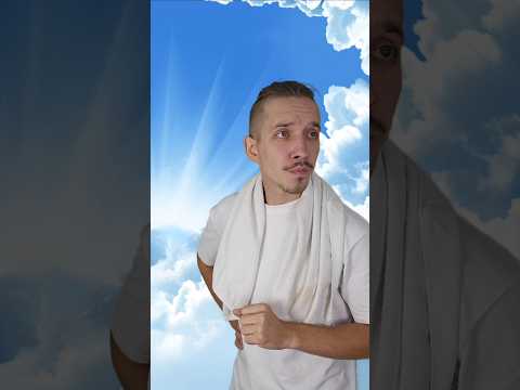 Die Ameisen sind selbst Schuld 😒