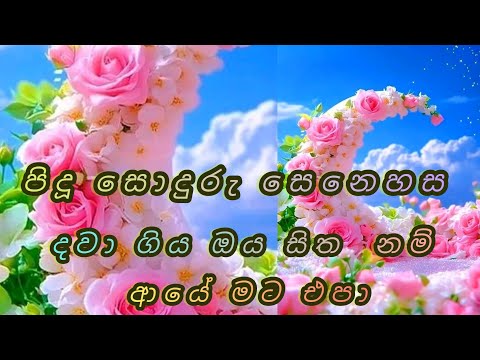 Aye Nam Oba Epa / ආයෙ නම් ඔබ එපා /Indika Udayantha / Sinhala Song/සිත දවා අළු කල ඔබ එපා.2025 🌺