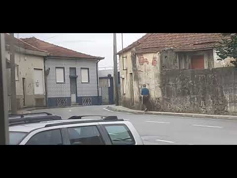 stcp linha 805 Veículo 3205