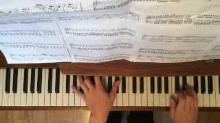 Serj Tankian - Honking Antelope(piano cover)