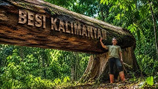 Download lagu Keras..!! Kayu asli pedalaman hutan tropis kalimantan mp3 Download lagu Keras..!! Kayu asli pedalaman hutan tropis kalimantan mp3
