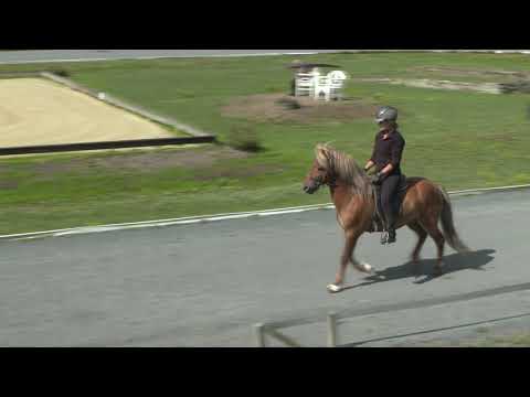 Baldur von Aegidienberg