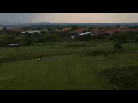 2020.08.18 - by Tello @ Săliște de Beiuș