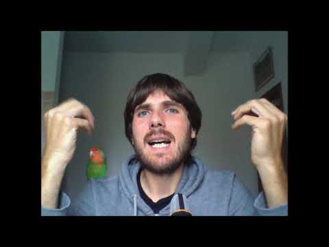 Video corso di scrittura creativa a cura di Arsenio Siani-lezione 7: i dialoghi