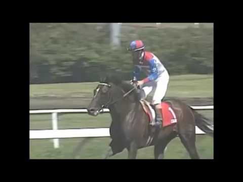 Hollywood Gold Cup 1995 - Cigar