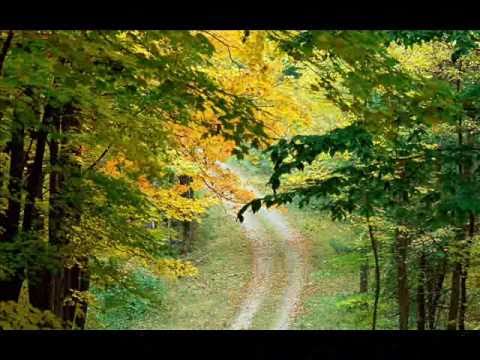 TRISTE DESPEDIDA Lorgio Rodriguez