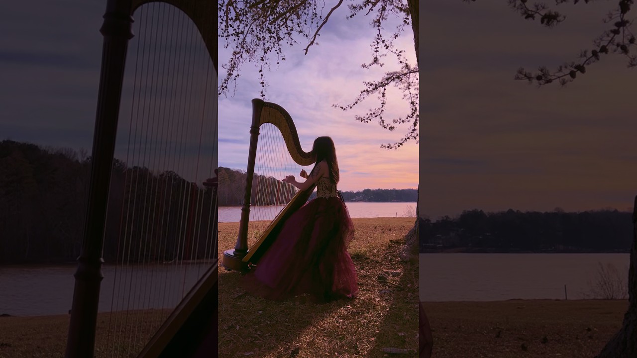 Promotional video thumbnail 4 for The Enchanted Harpist