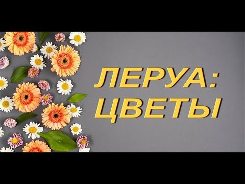 ЛЕРУА:ЦВЕТЫ,ТЦ "Космопорт",Самара,20.04.2019.