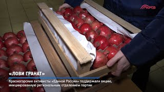 «Лови гранат»