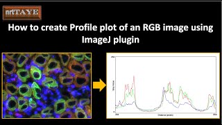 How to create Profile plot of an RGB image using ImageJ plugin