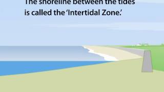 Coastal Realignment - How it Works 'Explanimation'