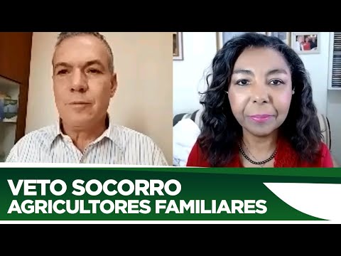Zé Silva explica veto de socorro aos agricultores familiares - 31/08/20