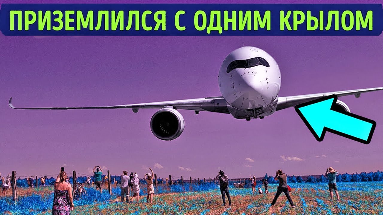 Самолёт потерял крыло… но всё равно приземлился — как это возможно?