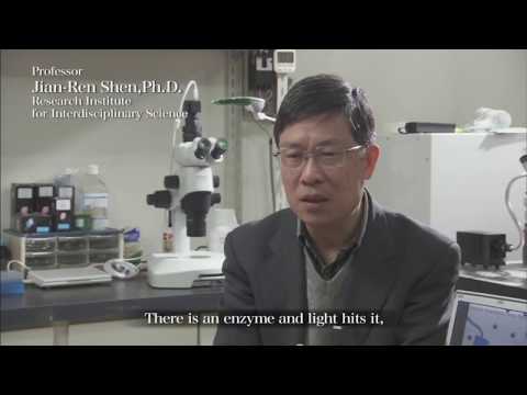 岡山大学理学部附属界面科学研究施設・牛窓臨海実験所・異分野基礎科学研究所紹介－英語字幕つき