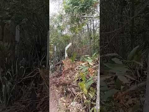 Sítio em Meruoca- CE