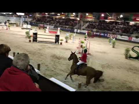 Qurack de Falaise*HDC - Grand Indoor de Saint Lo - Grand Prix 150 - 9e - Octobre 2019