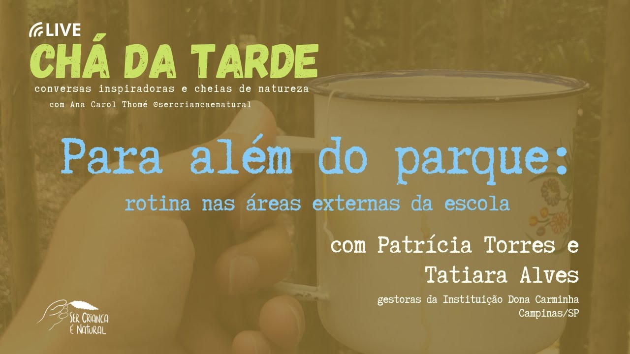 Para além do parque: rotina nas áreas externas da escola