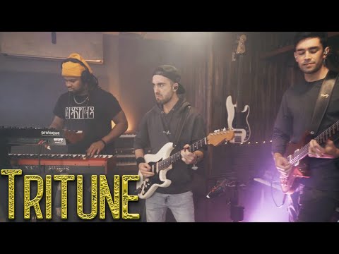 Swedish Funk Mafia - Tritune