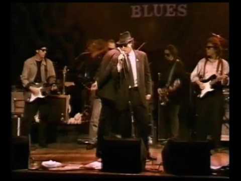 Blues Brothers Belushi Birthday Bash at House of Blues