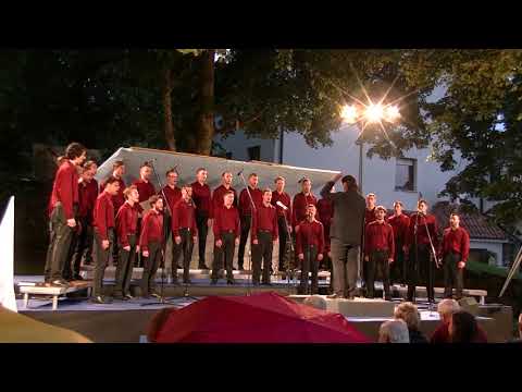 PAZ Vinko Vodopivec - Bazovica