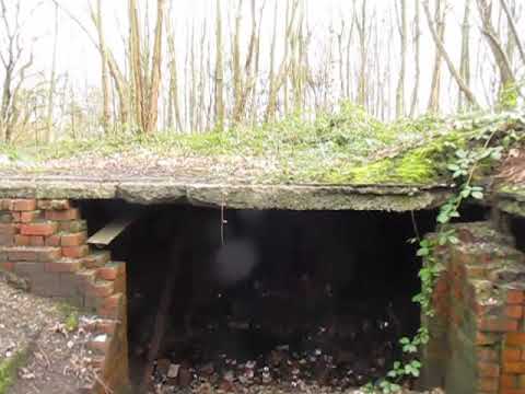 Haunted, Mitchell Laithes , mental hospital