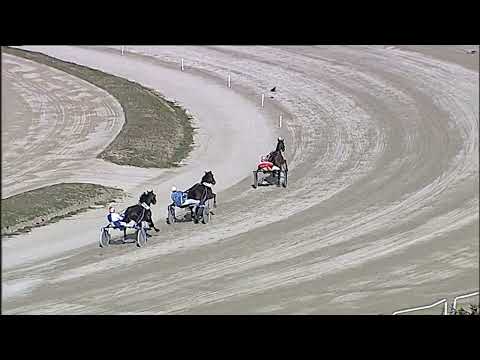 Napoli Trotto 17/02/2023 - 2ª prova di qualifica