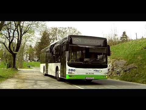 Mit Obus und Bus zum Wandern auf den Gaisberg