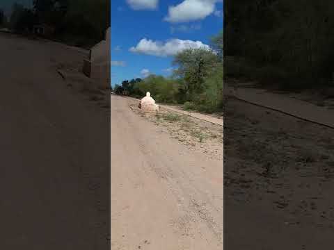 Quebrachal, localidad ubicada al sur de la provincia de Salta.