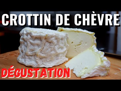 INCROYABLE Crottin de Chèvre fait maison - Impressions de dégustation de ce fromage!