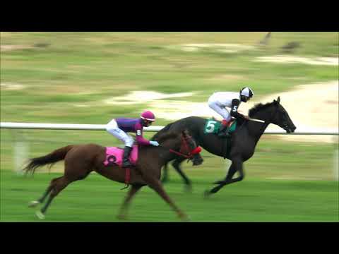 210131 c01 JOY MADRILEÑA (ARG)