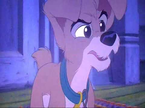 Scamp The Red-Nosed Puppy (1964) Part 7 - Scamp Meets Buddy/"We're a Couple of Misfits"