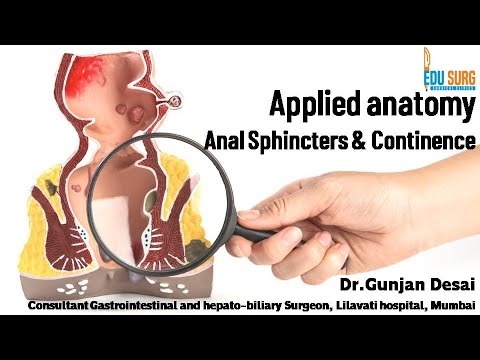 Applied anatomy of Anal canal 2 - Anal sphincter complex & continence mechanism - Edusurg Clinics