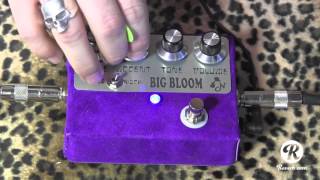 Video thumbnail for Amplified Nation BIG BLOOM overdrive pedal demo with Suhr Strat by gearmanndude
