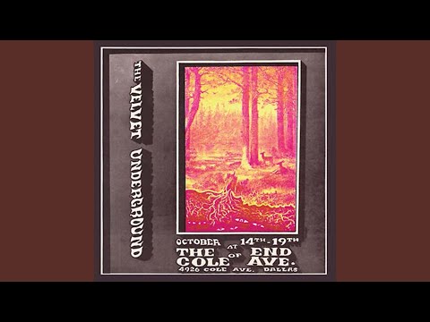 Beginning To See The Light The Velvet Underground Testo Testi E Traduzioni