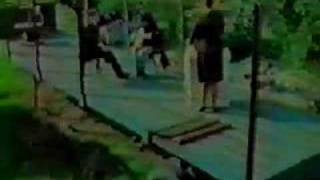 Tyrannosaurus Rex "Stacy Grove"