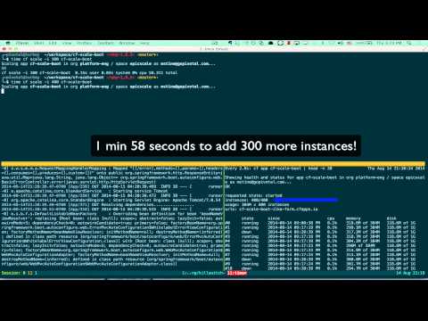 Cloud Foundry Epic Scale Demo