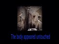 Untouched Doctor Nowhere T O E Locust Theme
