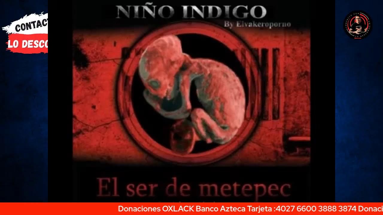 REACCIÓN A ENTREVISTA A JAIME MAUSSAN / Oxlack Investigador