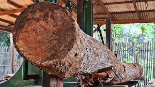 challenging sawing of curved mahogany logs at the sawmill