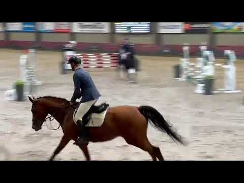 Onmeunig (CARRERA VDL x STAKKATO) - Video 2 video thumbnail