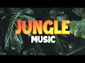 Jungle Tribal Music Adventure Cinematic Royalty Free Music For Videogames And Videos