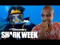 Brad Paisley Plays His Music Underwater For Sharks | Shark Week