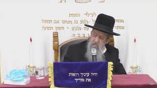 הרב בן ציון מוצפי • פרשת תזריע • שידור חי בית הכנסת סודאי