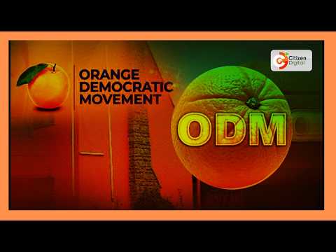 Viongozi wa UDA mlimani wafoka kufuatia matamshi ya Oburu kuhusu kiti cha naibu wa rais