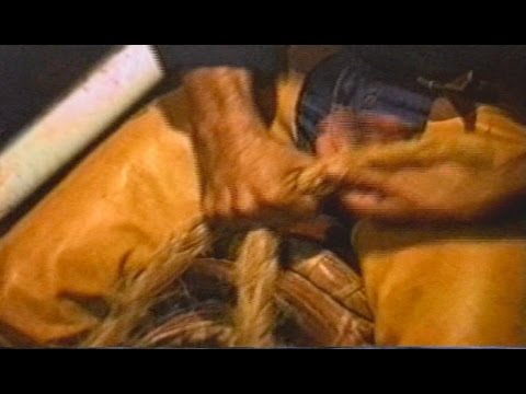 Sansão Vs. Cavalo Garimpo - Aparecida do Taboado/MS 1991