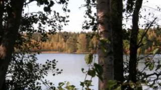 As Far As This Feeling Will Take Us (Buzz Rabin cover) - Maggie