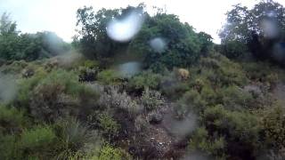 Mountain Bike "A rainy day at Parnitha" (ext.version)