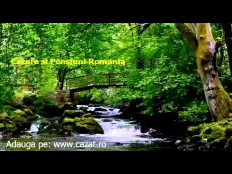 Cazare Luguzau, Arad - Cazat.ro