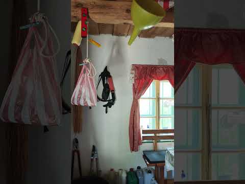 Eladó Szőlős, Alsónemesapáti 3419 m² 3.5 M Ft