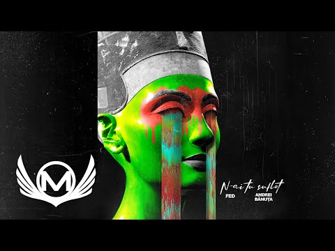 FED ❌ Andrei Banuta - N-ai Tu Suflet | Audio